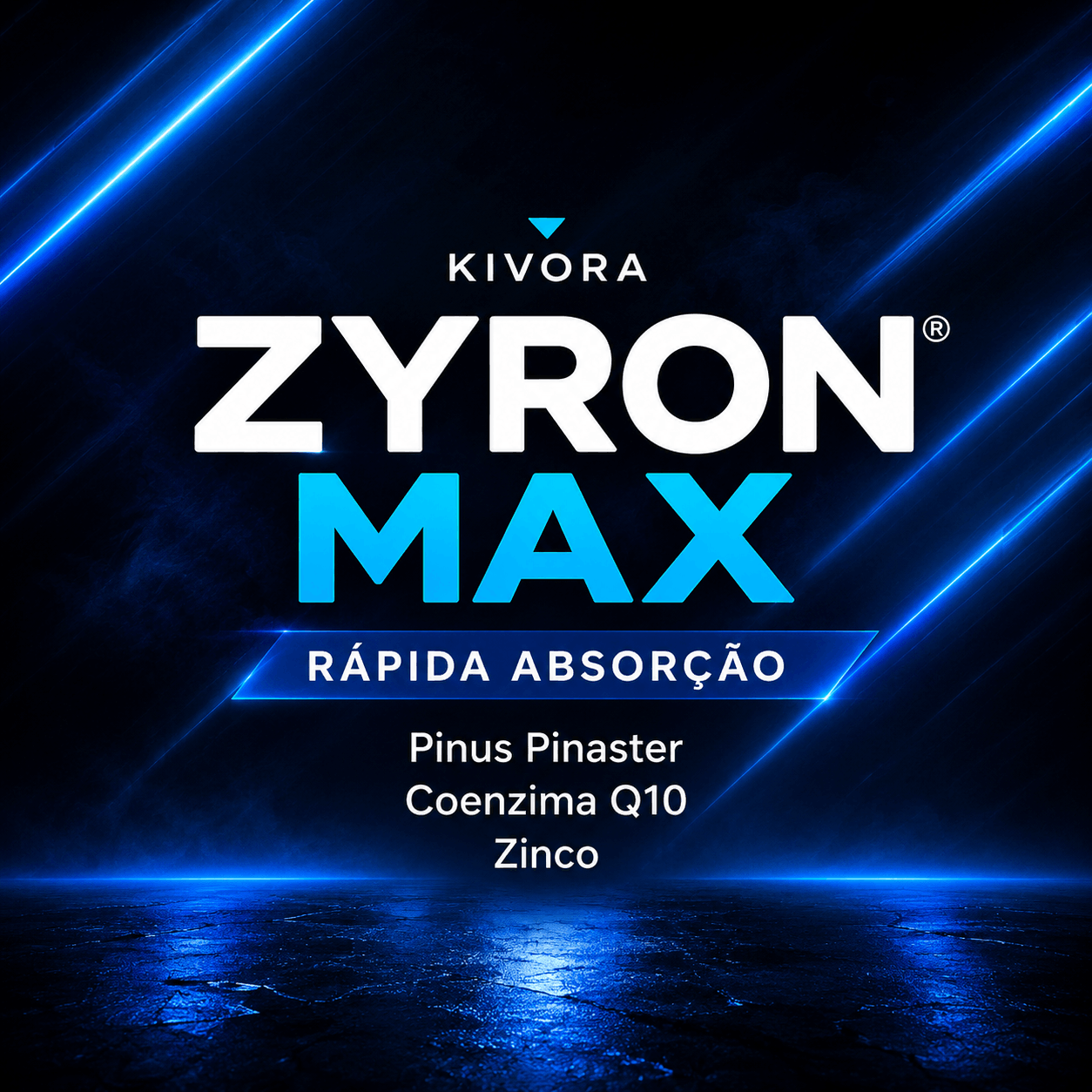 zyronmax.com.br